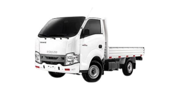 Serie P-Traviz